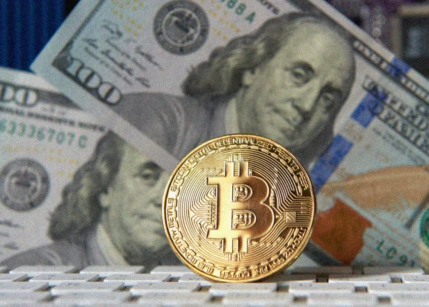 Bitcoin and the Dollar Are Rising in Value Amid Current News About the U.S. Presidential Election