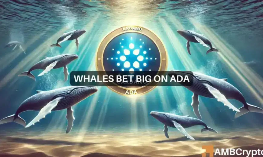 Cardano: What whale holding patterns reveal about ADA's future