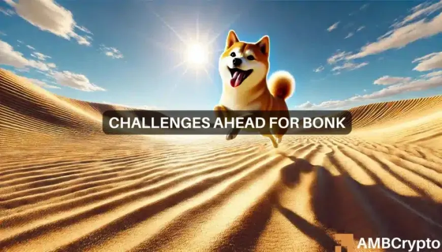 Bonk coin up 19% in 24 hours: Here's why a pullback could be next