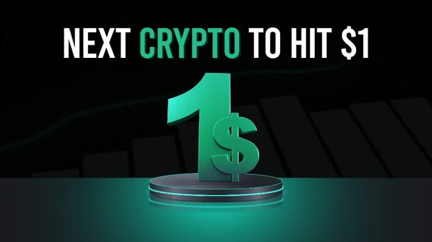 Next Crypto to Hit $1: DOGE, 888, or a Dark Horse?