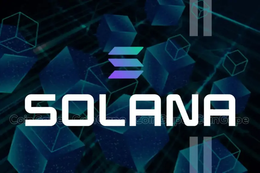 Will Solana Price Reach $300 After Outpacing BNB Coin?