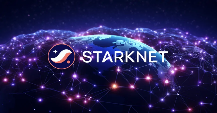 6 Best Altcoins To Invest In Today November 7 – Starknet, Optimism, dYdX, Mantle