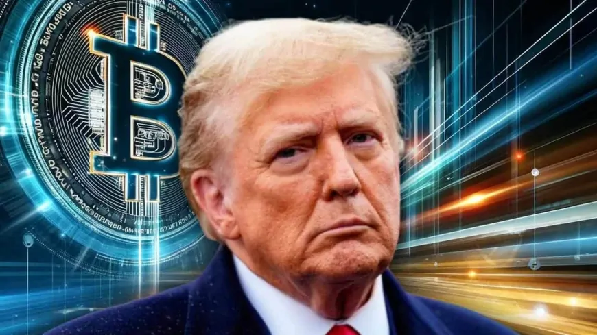 Crypto Billionaires Michael Saylor And Brian Armstrong, Along With DOGE Fan Elon Musk, See Huge Gains After Trump Victory – More Profits Could Follow