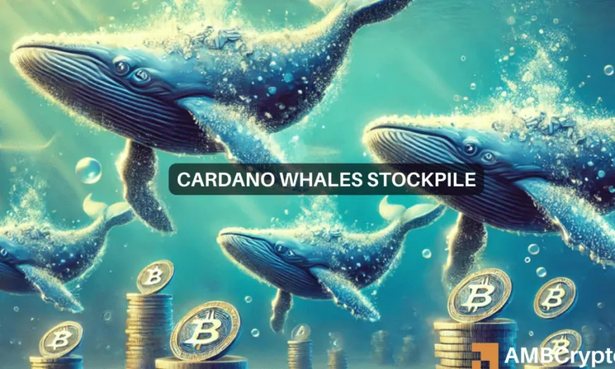 Cardano gains as whale transactions surge: A look at ADA's future