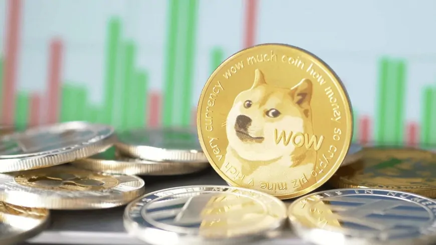 There is a Development That Could Be Important For Dogecoin: Company Allegedly Established to Be DOGE's MicroStrategy