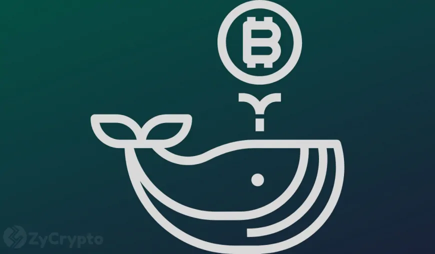 Bitcoin Whales Move $132M Off Binance as “Bitcoin President” Trump Takes Office