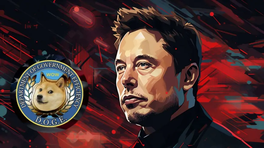 Department Of Government Efficiency Price Prediction: DOGE Surges 116% Amid Elon Musk Role Speculation As Traders Eye This Staking ICO For 100X Gains