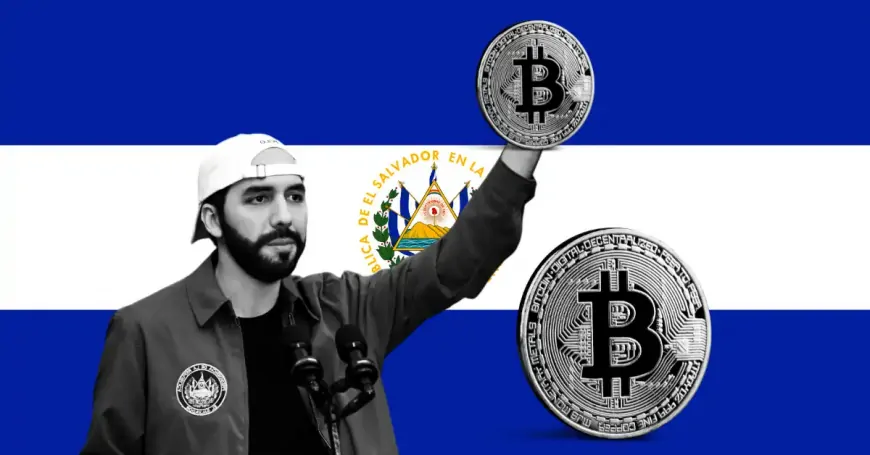 El Salvador's Bitcoin Gamble Yields $24.54M