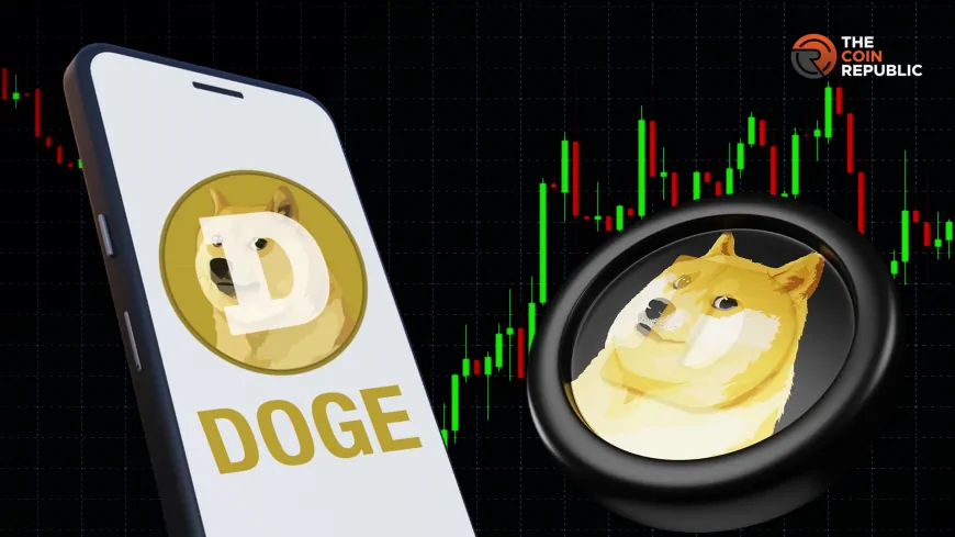 Market Analyst Expects DOGE Price To Retest $0.23 Before Major Breakout