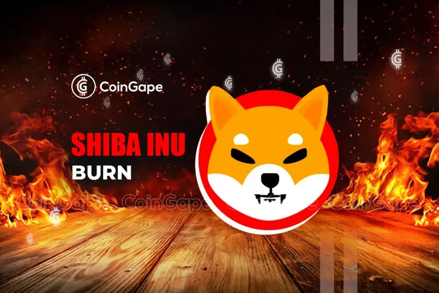 Shiba Inu Burn Rate Surges 1300%, Will This Trigger a SHIB Price Rally?