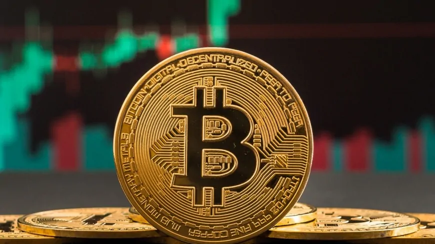 Analysts Said “This Rally Is Just The Beginning” For Bitcoin, Revealed Their Expectations