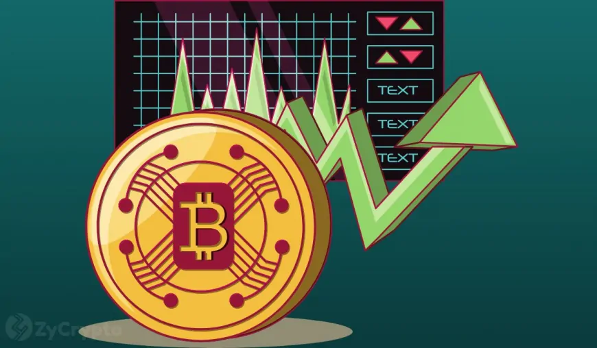 Bitcoin Pops To New $77,200 Record High As Analyst PlanB Foresees Epic Path To $500,000