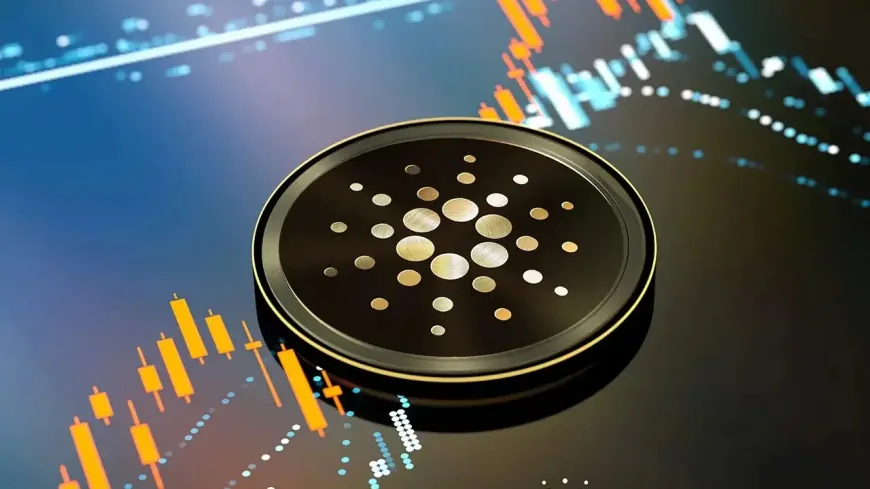 Cardano's Price Surges Over 30% in the Last 24 Hours, Reaching a 7-Month High