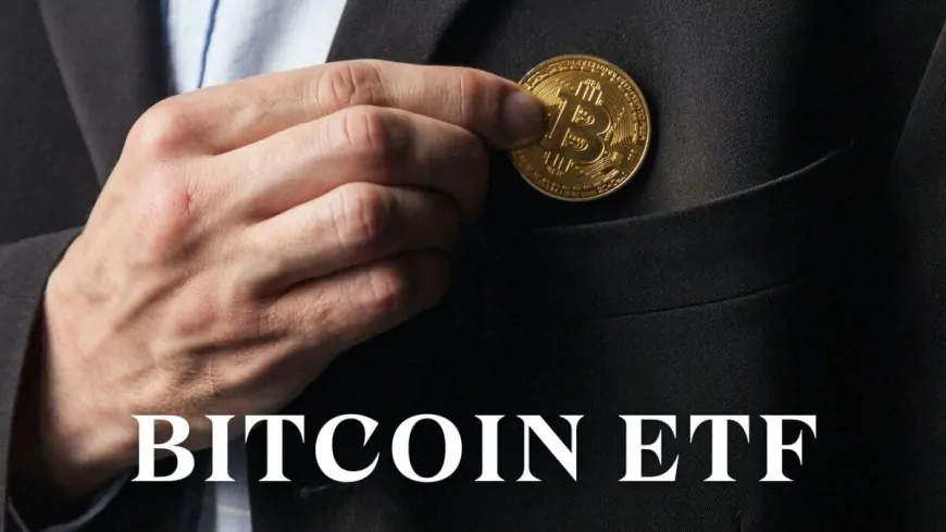 Bitcoin ETFs: A Threat to Satoshi Nakamoto's Vision?