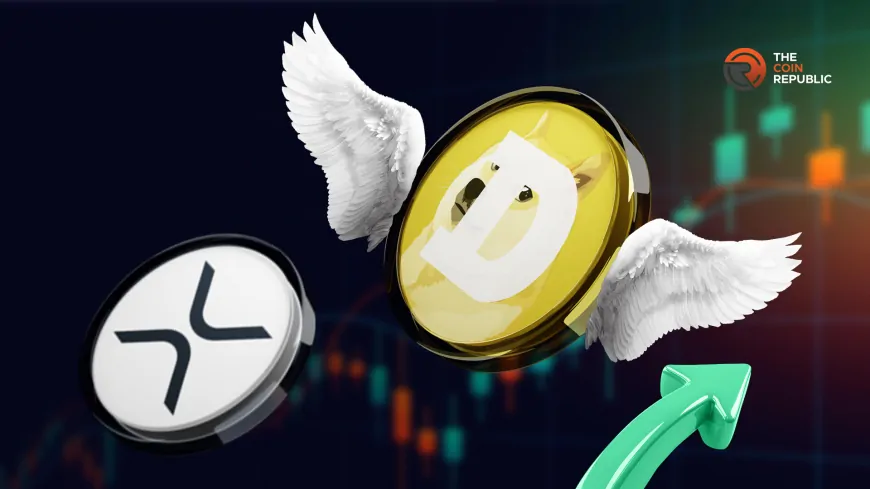 Will Dogecoin (DOGE) Displace XRP As Price Retains 31% WTD Growth?