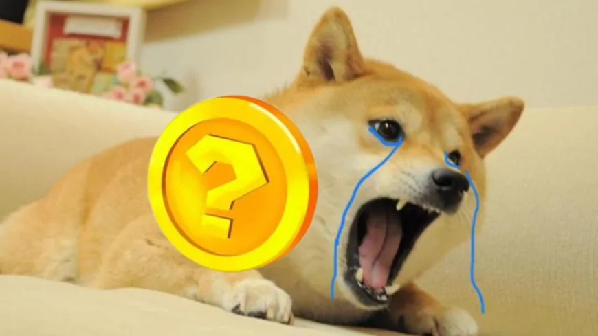 Is Shiba Inu's Charm Fading? Experts Eye 3 Altcoins as SHIB Trades Well Below All-Time High!