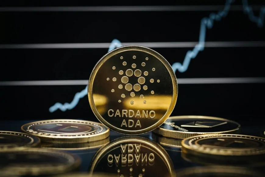 Cardano Soars To 7-Month High As Founder Charles Hoskinson Teases Potential Crypto Policy Role In Trump Administration