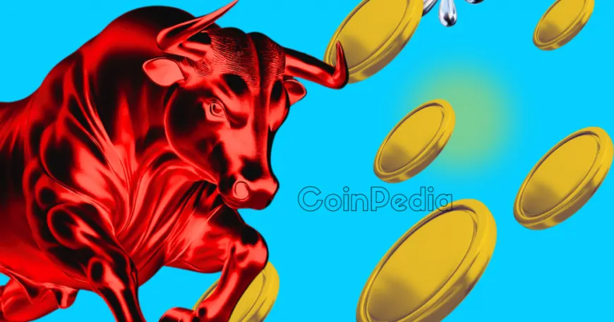 These Altcoins Mark a New ATH as BTC Marches Above $81,500-The Crypto Bull Run Has Began