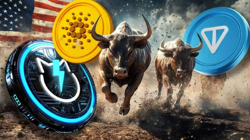 Toncoin vs. Cardano vs. JetBolt vs. Chainlink: Which Altcoin Will Prevail In Post-Election Bull Run