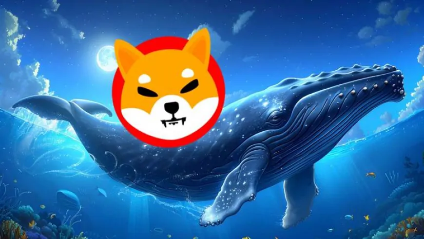 SHIB Price Surge Anticipated as Buy Wall Expands—Could This All-Sports Meme Token Also Take Off?