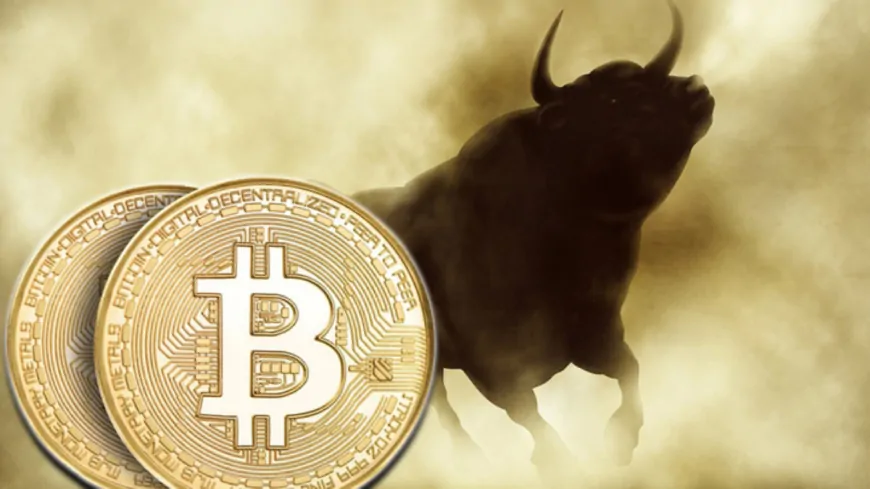 What to Expect After the Big Rally in Bitcoin Price, What Will Come? Here's What Experts Say