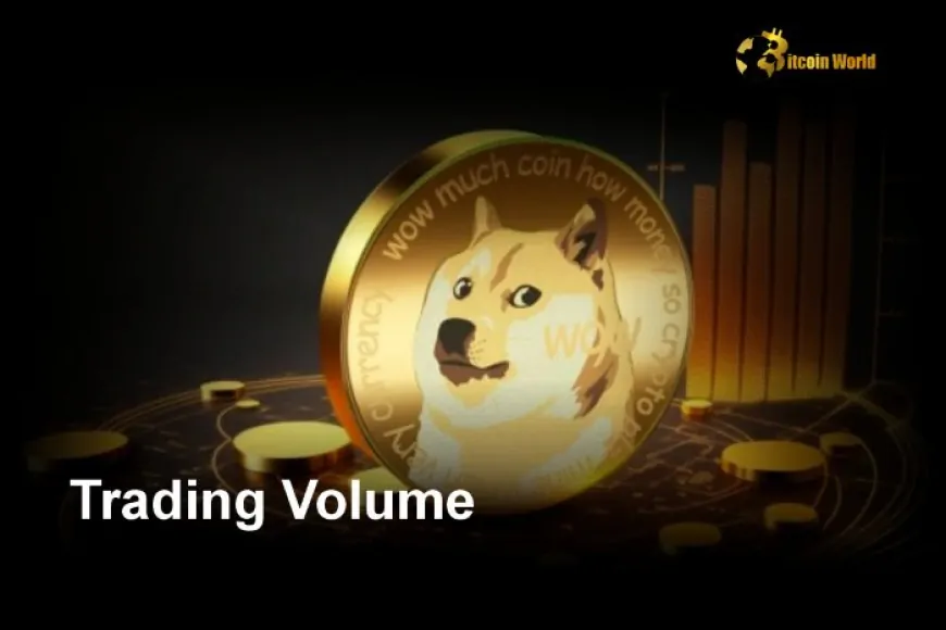 Surge in Dogecoin Wallets Holding Under 100,000 DOGE Signals Growing Retail Interest