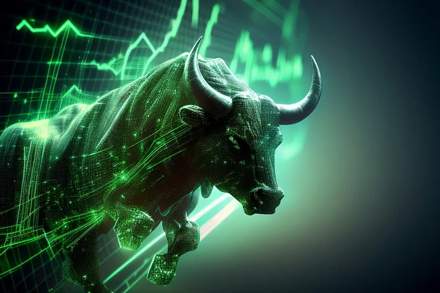 Investors Eye Bullish 2025 Crypto Market, Bitcoin and Solana Expected to Lead