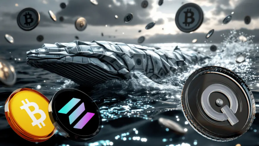 Bitcoin Whales Betting Big On This Ethereum Token To Surge 6,500% In One Week As Solana Price Slides