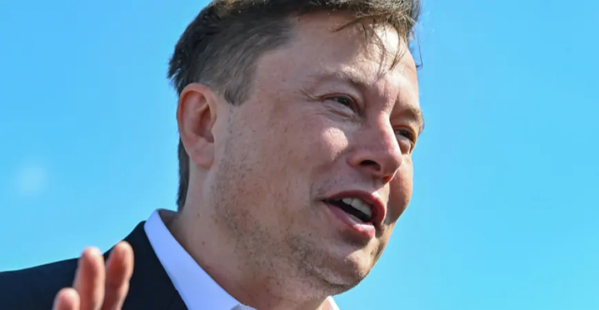 Trump confirms Musk and Ramaswamy will lead ‘DOGE' agency to drive out wasteful spending