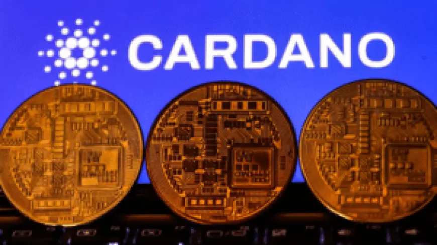 ADA Price In Top Crypto Gainers – Why Is Cardano Exploding?