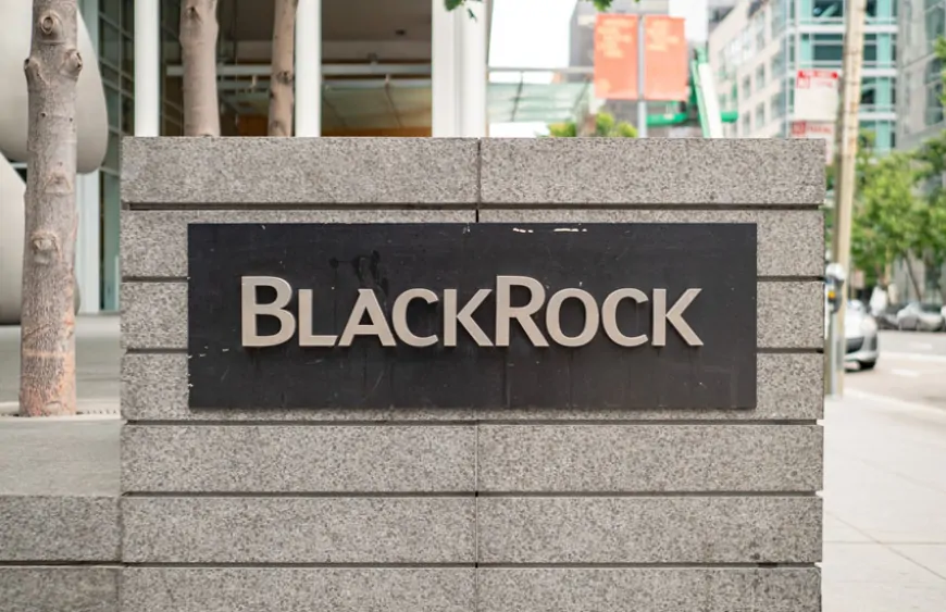 BlackRock Announces Crypto Fund Launch on Surprise Five Altcoin Networks!