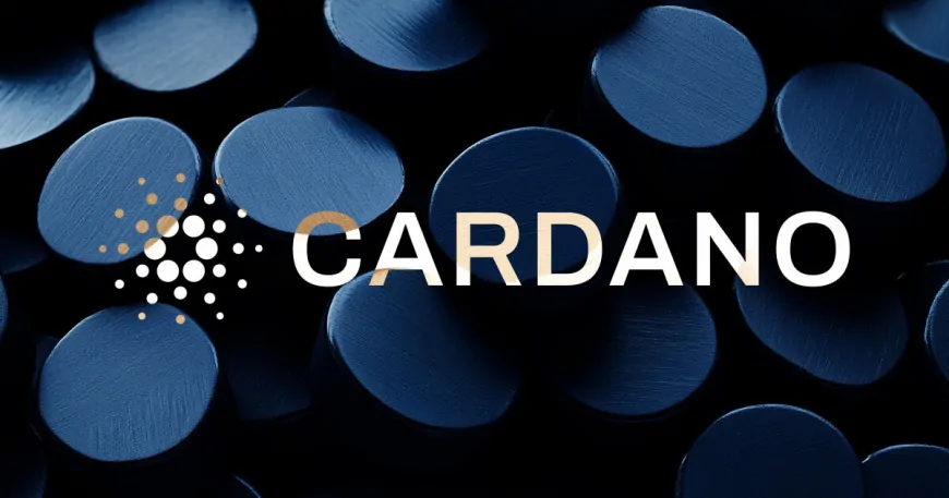 Bitcoin rally has pushed Cardano Foundation BTC holdings to over $100 million