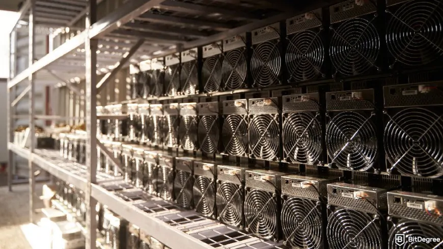 Bitcoin Miner Hive Digital Expands Global Reach with Paraguay Site Launch