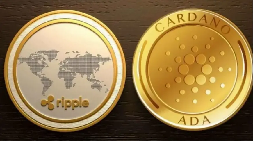 Ripple and Cardano (ADA) Partnership Coming? CEOs Speak!