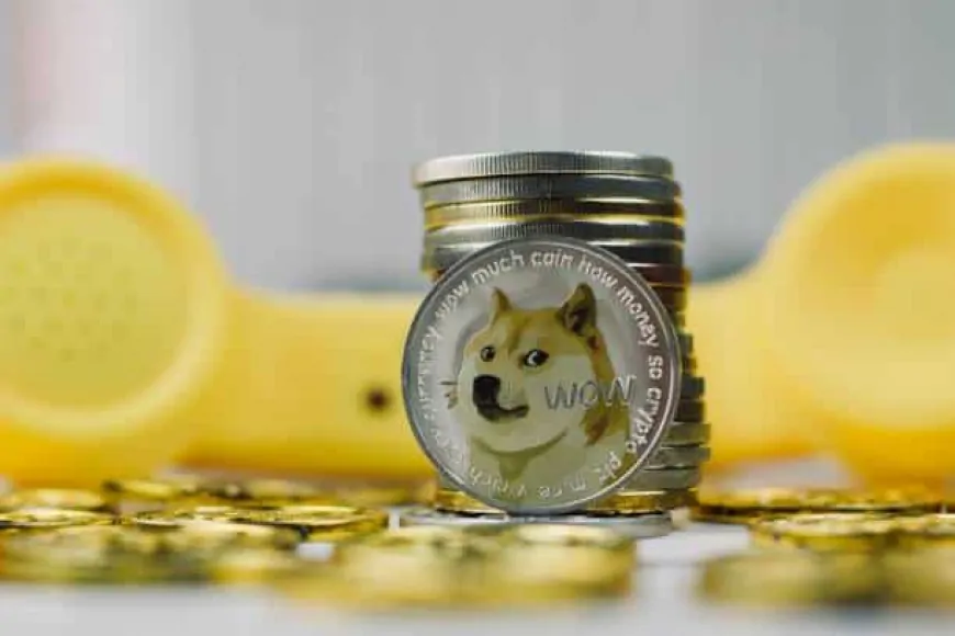 Is It Too Late To Buy DOGE? Dogecoin Price Soars 94% In A Week As Elon Musk Takes Government Efficiency Role, And This Might Be The Next Crypto To Explode