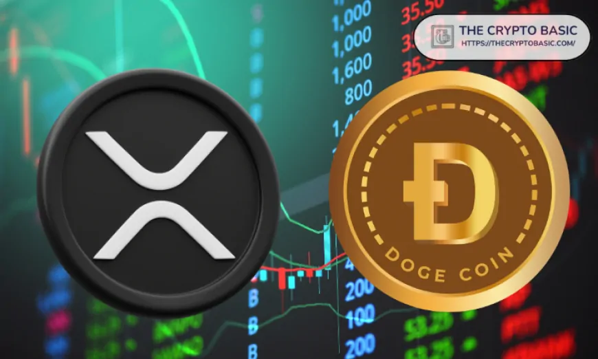 Economist Says Massive XRP Surge Similar to Dogecoin Price Explosion Is Coming