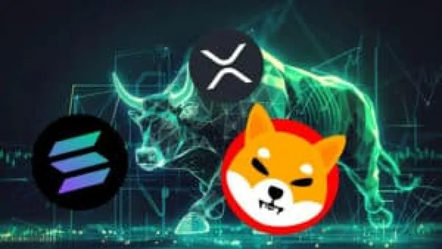 Can SHIB reach $1, SOL reach $600 and XRP touch $10? That's why this low-cost alternative to XRP could offer returns of 5000%!