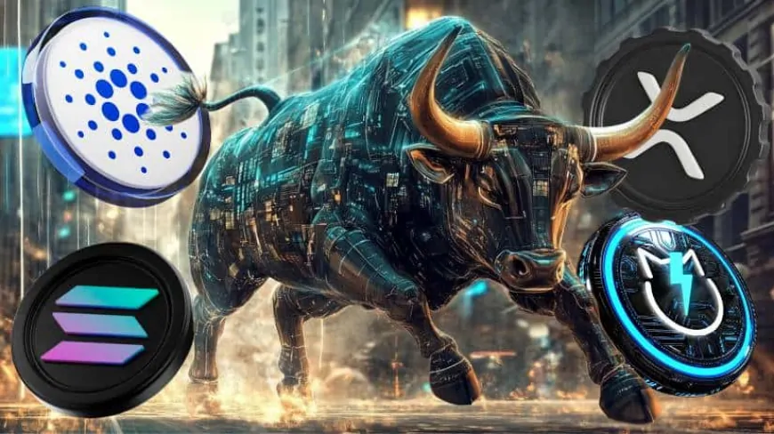 XRP vs. Solana vs Cardano vs JetBolt: Which Altcoin Will Lead the 2024 Bull Run?