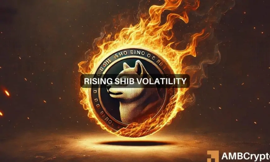 Shiba Inu jumps on 3,679% burn rate spike – Is SHIB's rally just getting started?