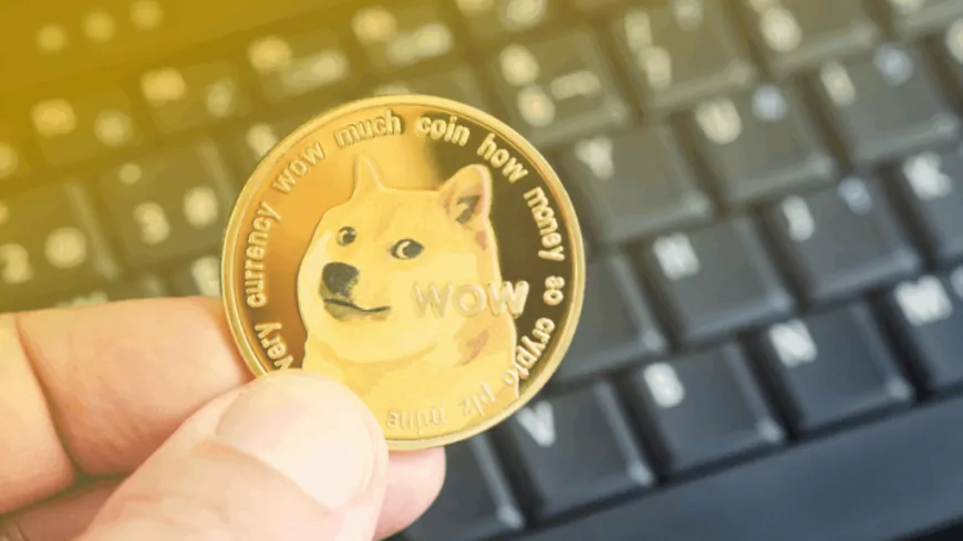 Here's How Much The Dogecoin Price Will Be With The Market Cap Of Solana