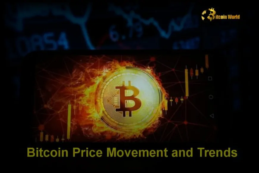 Bitcoin Price Movement and Trends: Why Bitcoin Goes Up and Down