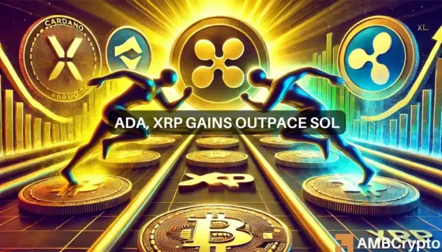 XRP, Cardano race ahead as legacy tokens fall behind: What's happening?