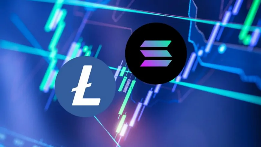 Will December Be The Month For Solana And Litecoin To Skyrocket? Here's What Analysts Say