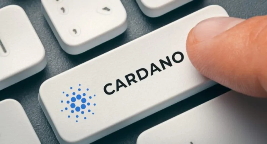 What Should we Expect From Cardano's Price Amid Growing Optimism?