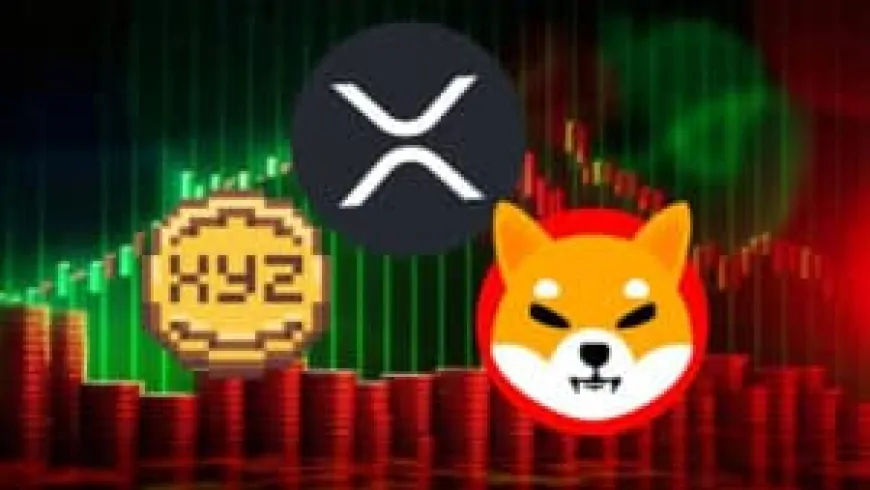 Forecasting a 1,500% surge for XRP, SHIB will gain 2,100%, while XYZVerse is preparing for a 7,800% increase in November!