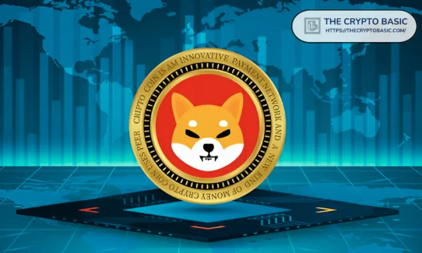 Shiba Inu Lead Says SHIB Is Up Against Cardano and XRP, Not Memecoins