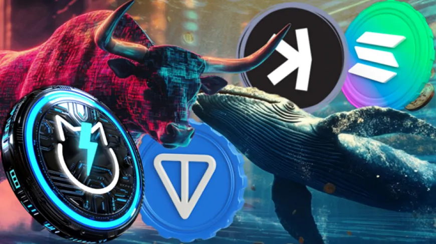 Crypto Bull Run Trend: Why Whales Are Moving To Solana, Toncoin, Kaspa, And JetBolt In Altseason