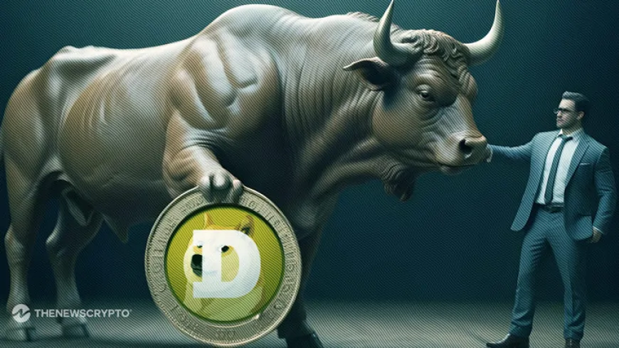 Dogecoin Investors Show Strong Diamond Hands: DOGE Metrics Signal Bullish Pattern