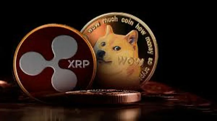 Dogecoin Influencer Drops Crucial Warning For DOGE Investors, You Could Lose Your Coins If You Don't Do This