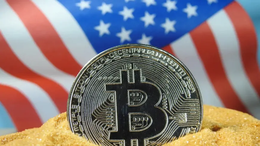 Bitcoin Advocate Calls for U.S. to Secure $250 Billion BTC Reserve to Protect Dollar